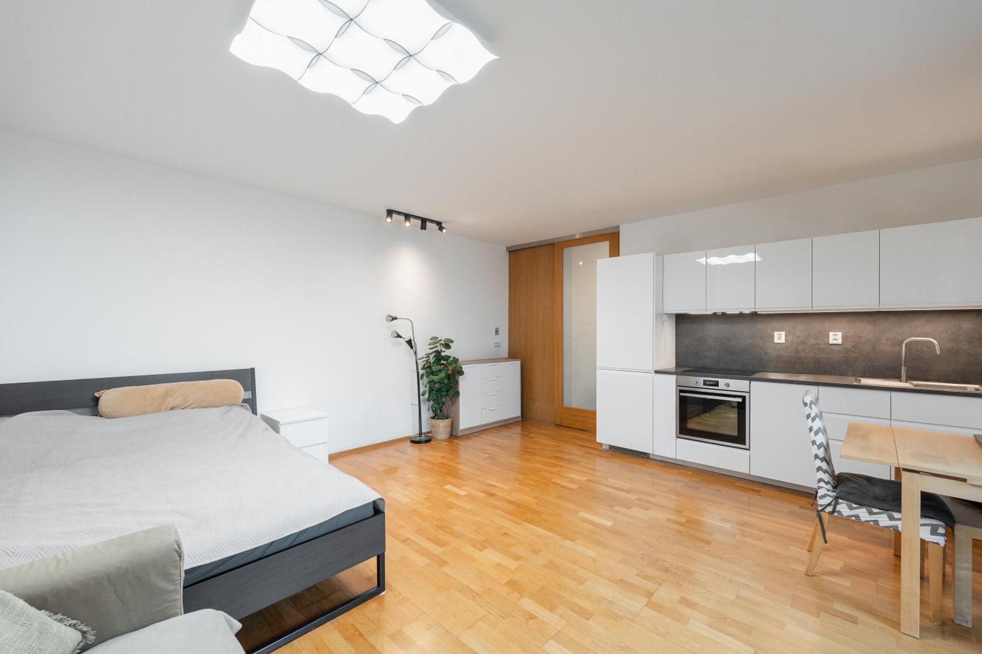 Krizikova Down Town With Parking Apartment